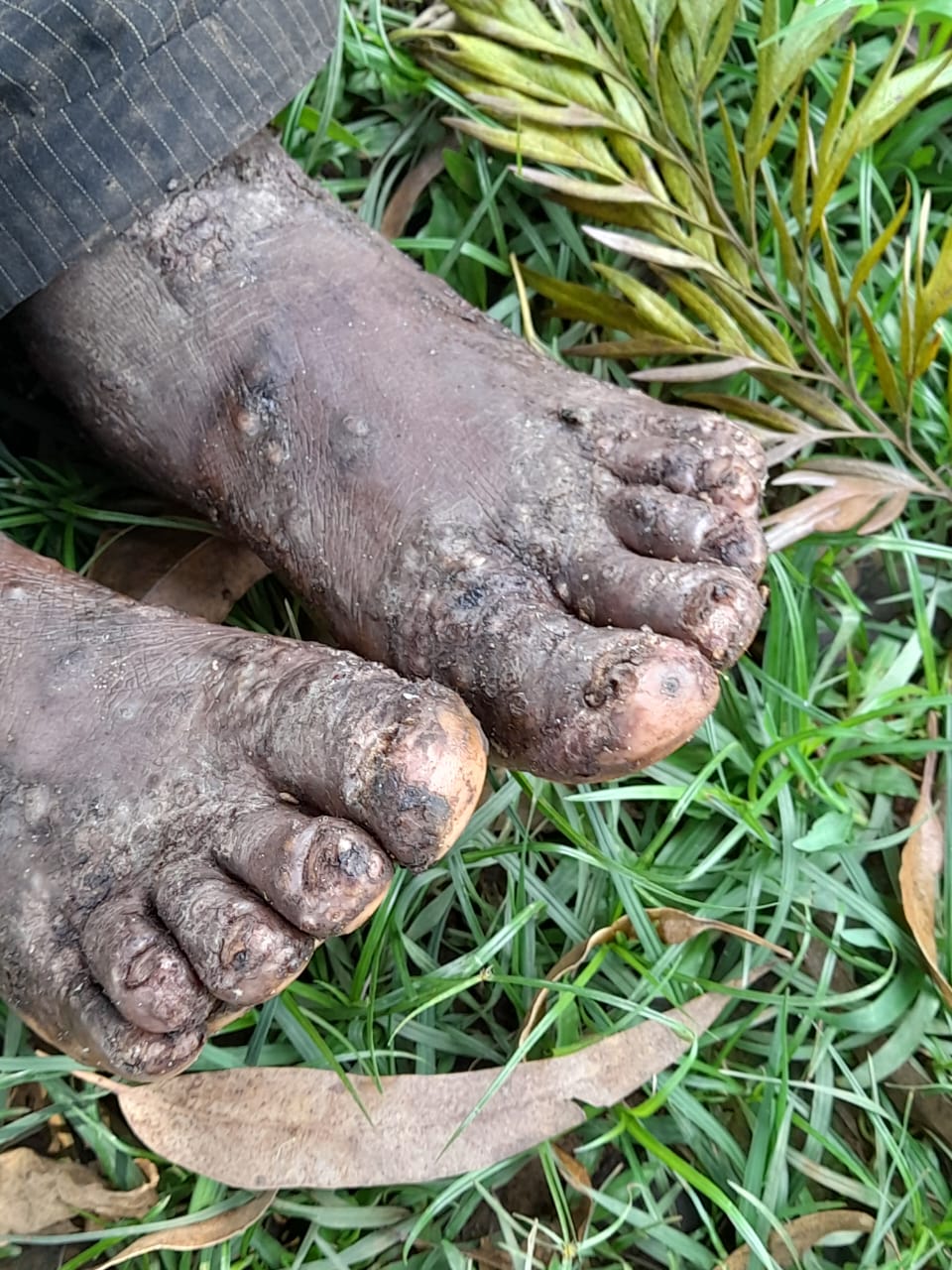 IMG-20251214-WA0181 IMG-20251214-WA0181